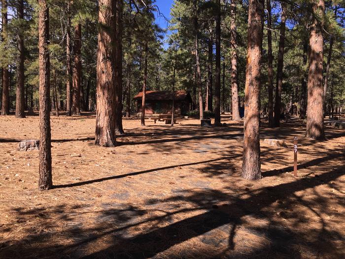 Picnic table, fire pit, and driveway for North Rim Campground, Site 37.