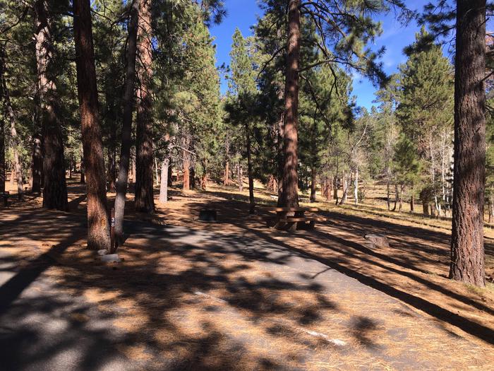 Picnic table, fire pit, and driveway for North Rim Campground, Site 38.