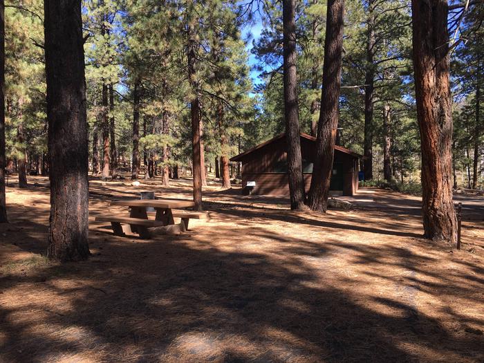 Picnic table, fire pit, and driveway for North Rim Campground, Site 42.