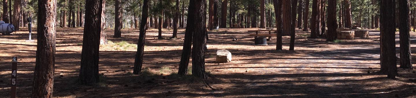 Picnic table, fire pit, and driveway for North Rim Campground, Site 45.