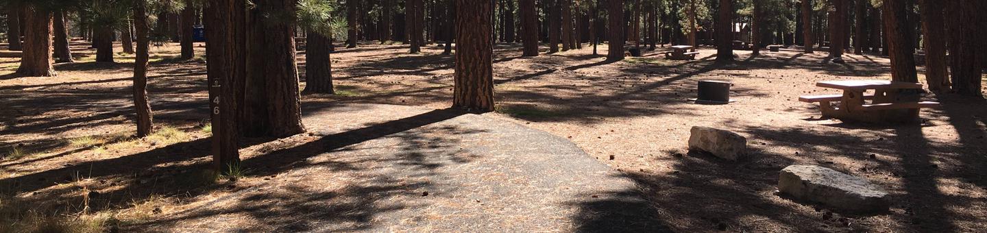 Picnic table, fire pit, and driveway for North Rim Campground, Site 46.