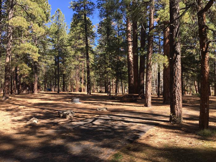 Picnic table, fire pit, and driveway for North Rim Campground, Site 47.