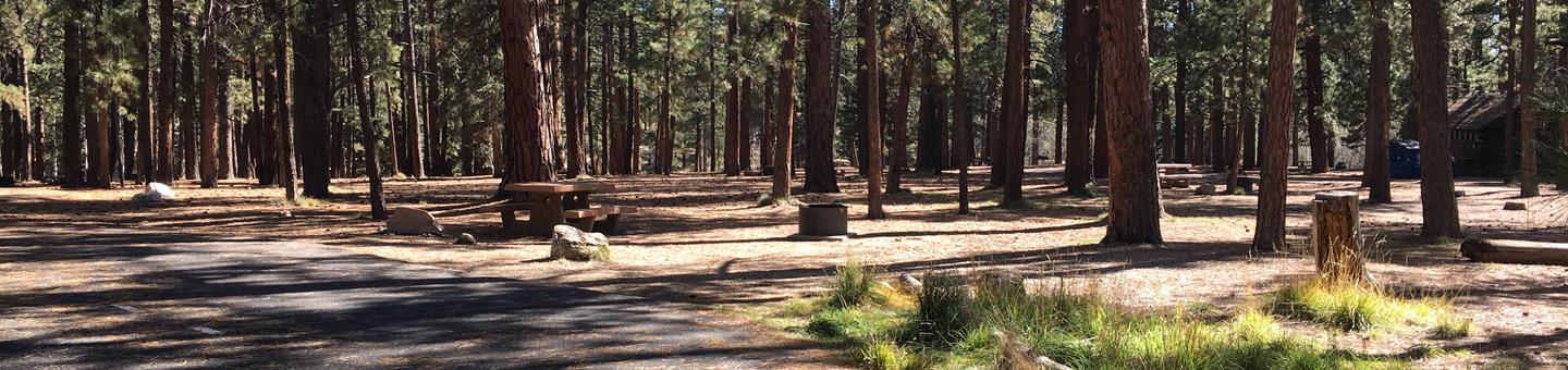 Picnic table, fire pit, and driveway for North Rim Campground, Site 48.