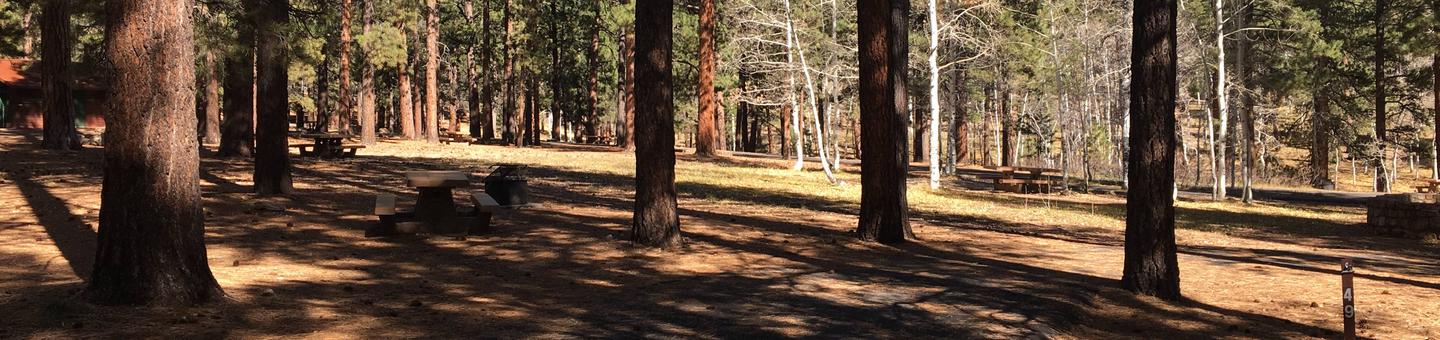 Picnic table, fire pit, and driveway for North Rim Campground, Site 49.