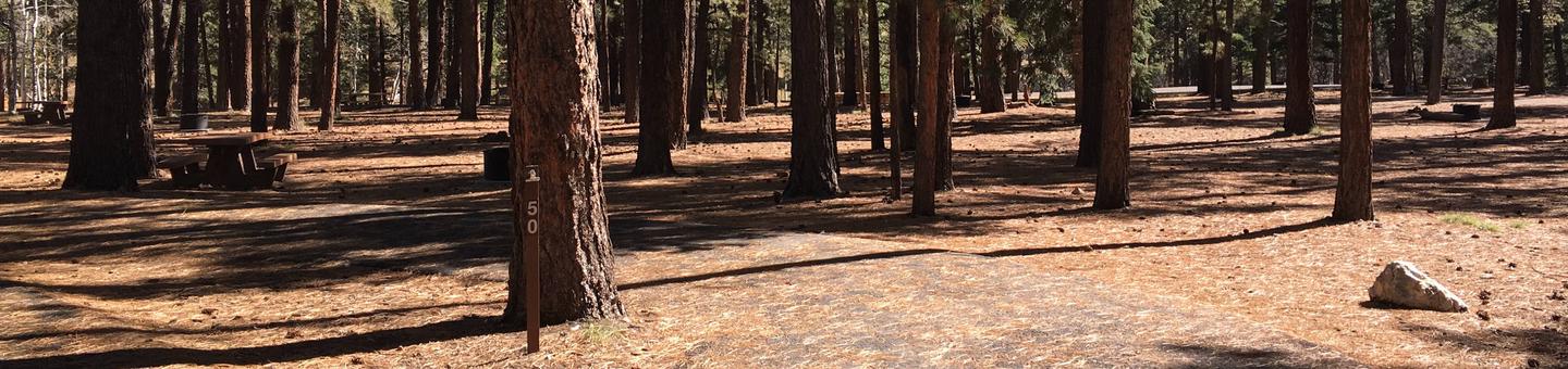 Picnic table, fire pit, and driveway for North Rim Campground, Site 50.