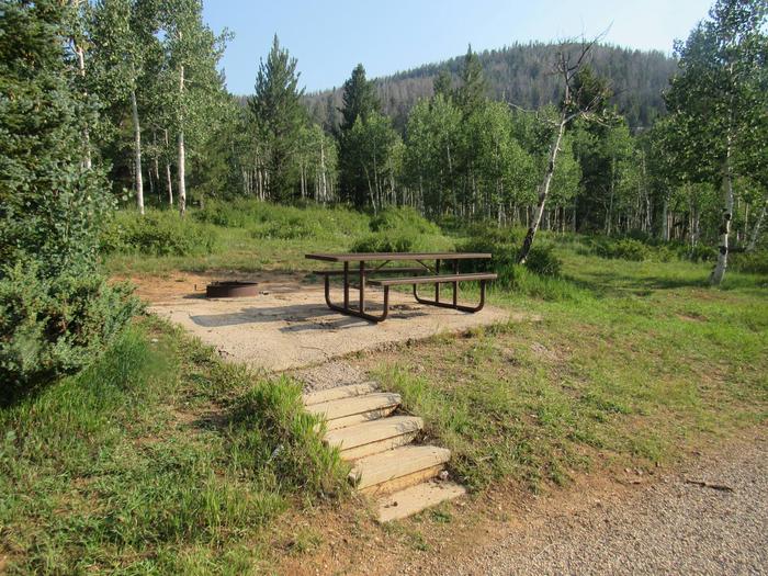 TE-AHThe campground sits in a large Aspen tree stand.