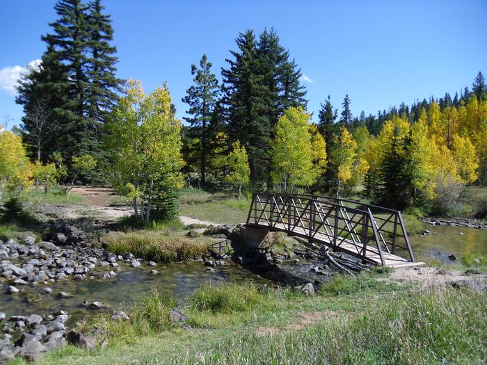 Foot bridge over the crrek to the pondFoot bridge over the creek to the pond
