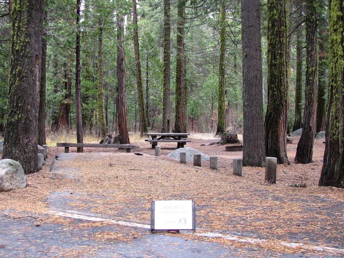 Paved site with picnic table and fire ringPinecrest Campground Site A3