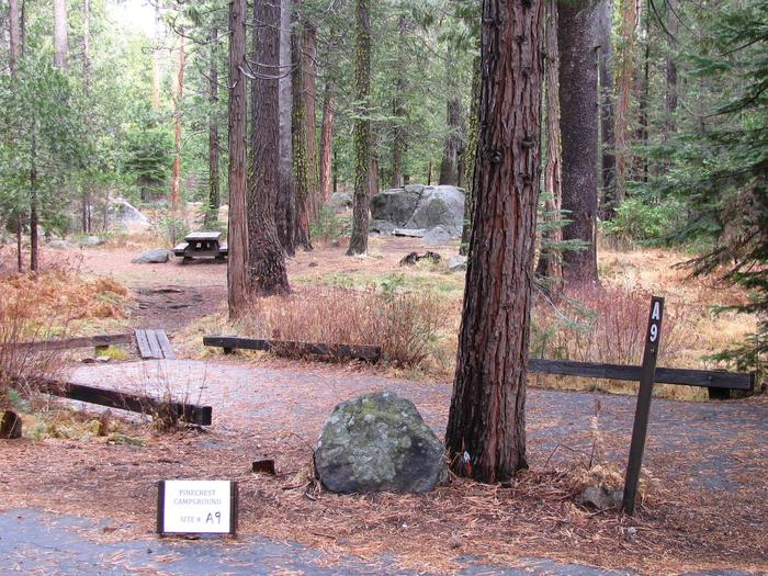 Paved site with picnic table and fire ringPinecrest Campground Site A9