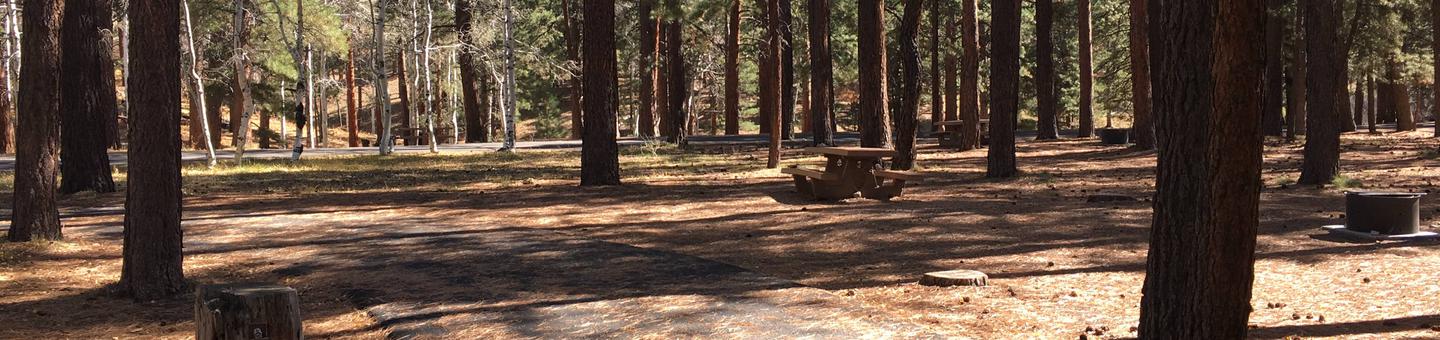 Picnic table, fire pit, and driveway for North Rim Campground, Site 51.