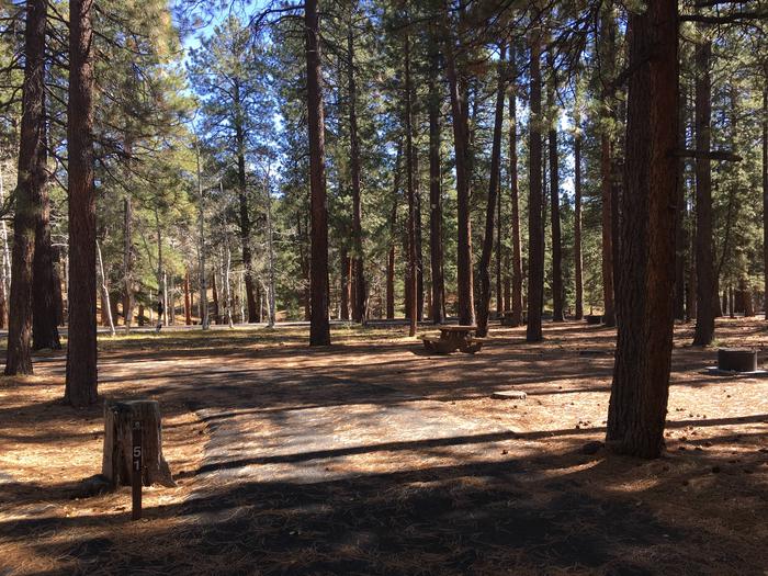 Picnic table, fire pit, and driveway for North Rim Campground, Site 51.