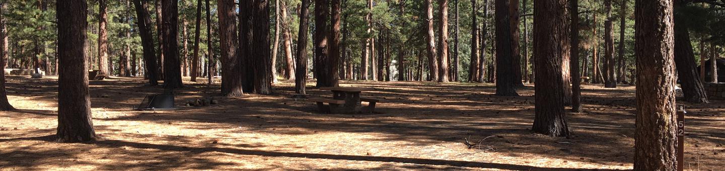 Picnic table, fire pit, and driveway for North Rim Campground, Site 52.