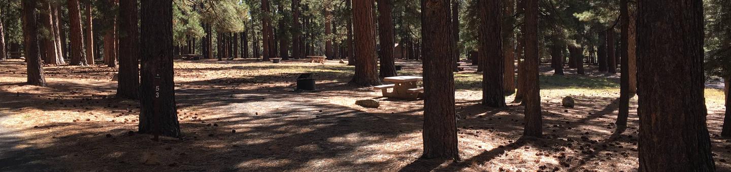 Picnic table, fire pit, and driveway for North Rim Campground, Site 53.