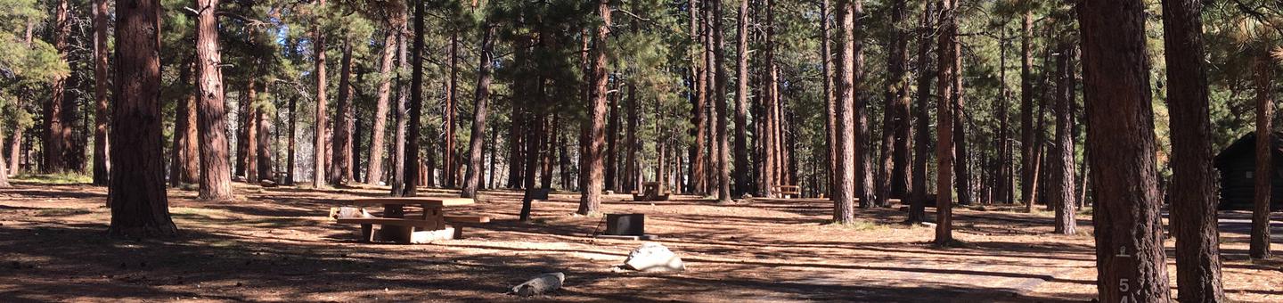 Picnic table, fire pit, and driveway for North Rim Campground, Site 54.