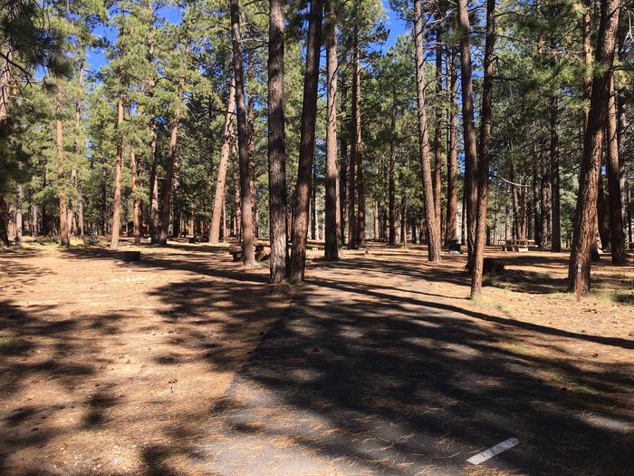 Picnic table, fire pit, and driveway for North Rim Campground, Site 56.