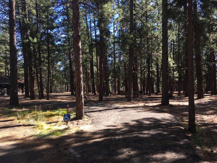 Picnic table, fire pit, and driveway for North Rim Campground, Site 57.