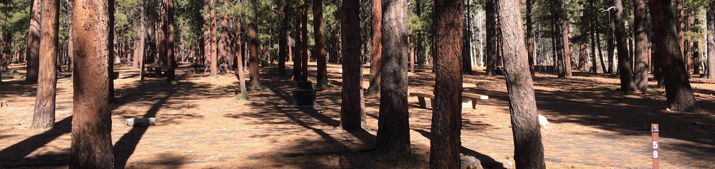 Picnic table, fire pit, and driveway for North Rim Campground, Site 58.