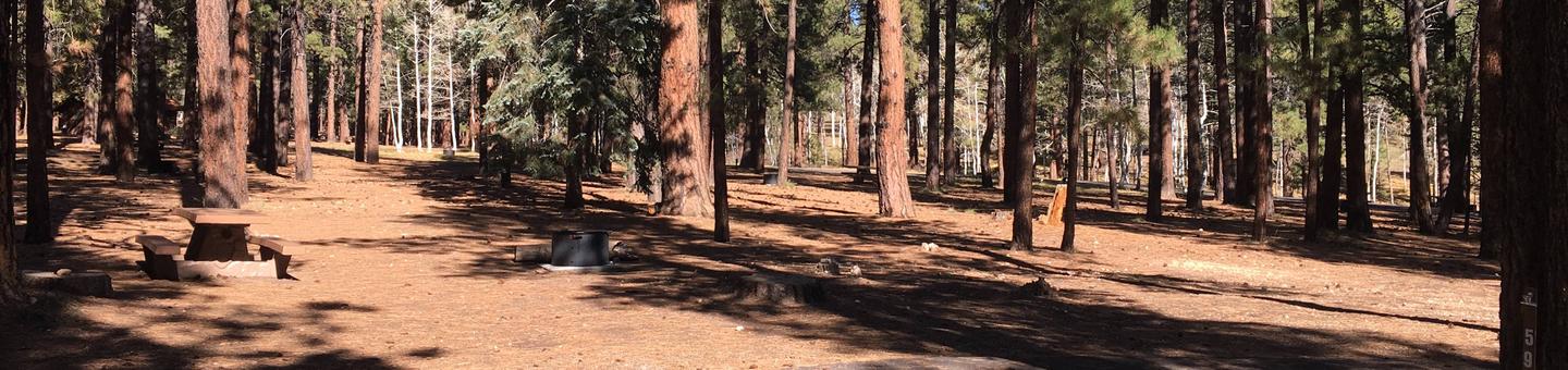 Picnic table, fire pit, and driveway for North Rim Campground, Site 59.