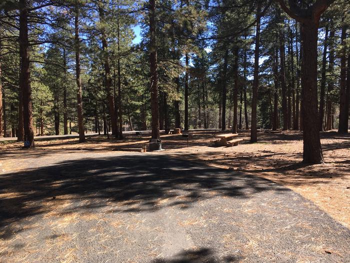 Picnic table, fire pit, and driveway for North Rim Campground, Site 60.