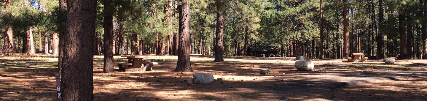 Picnic table, fire pit, and driveway for North Rim Campground, Site 62.
