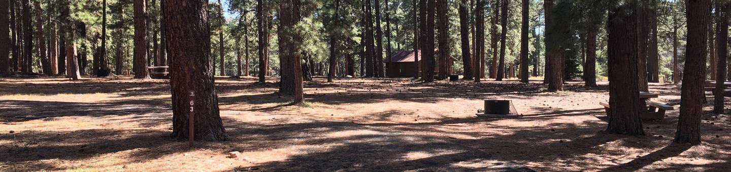 Picnic table, fire pit, and driveway for North Rim Campground, Site 63.