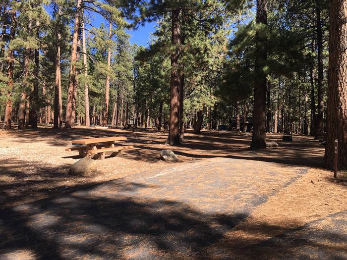Picnic table, fire pit, and driveway for North Rim Campground, Site 64.