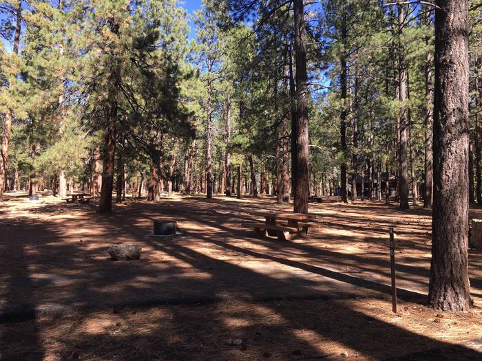 Picnic table, fire pit, and driveway for North Rim Campground, Site 66.