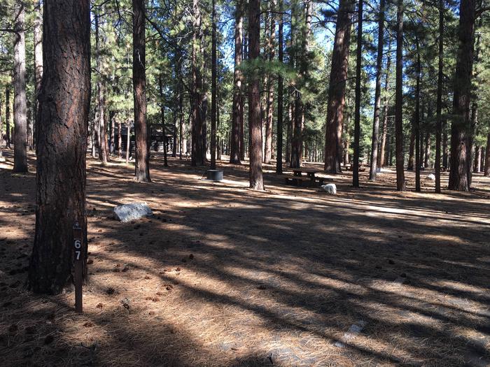 Picnic table, fire pit, and driveway for North Rim Campground, Site 67.