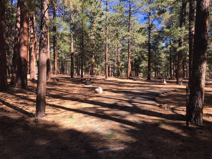 Picnic table, fire pit, and driveway for North Rim Campground, Site 69.