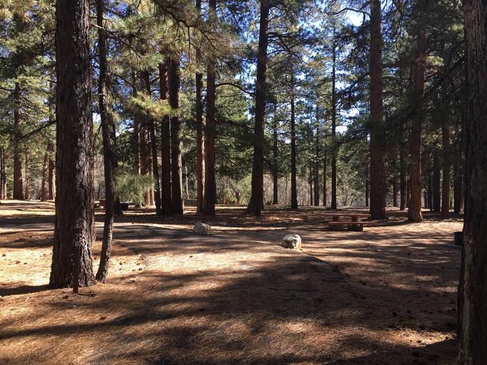 Picnic table, fire pit, and driveway for North Rim Campground, Site 70.
