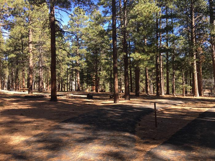 Picnic table, fire pit, and driveway for North Rim Campground, Site 71.