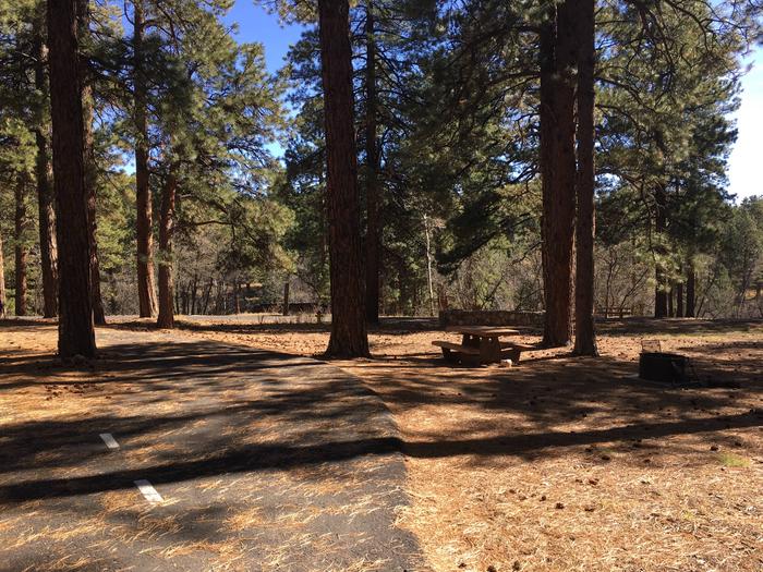 Picnic table, fire pit, and driveway for North Rim Campground, Site 72.