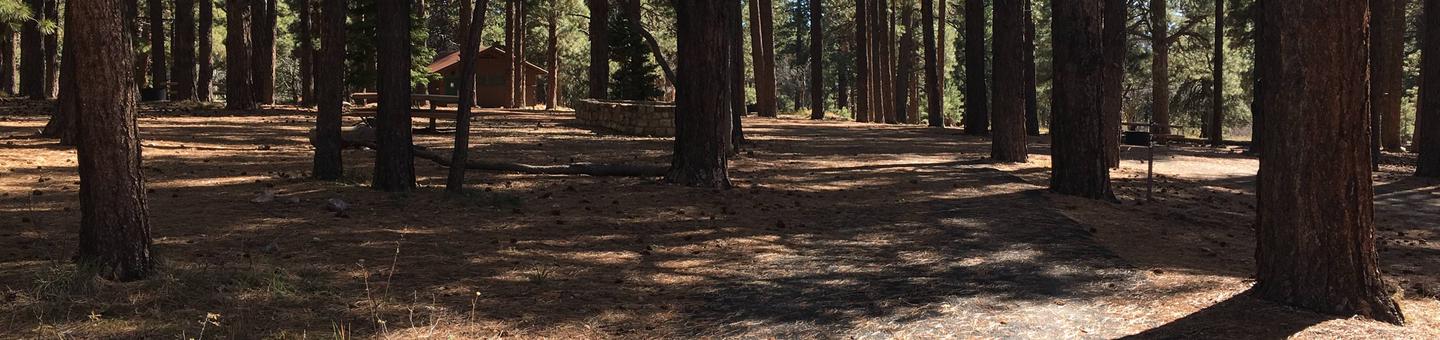 Picnic table, fire pit, and driveway for North Rim Campground, Site 73.