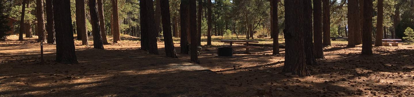 Picnic table, fire pit, and driveway for North Rim Campground, Site 74.