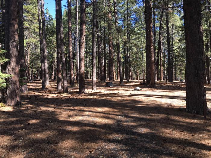 Picnic table, fire pit, and driveway for North Rim Campground, Site 75.