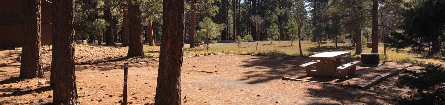 Picnic table, fire pit, and driveway for North Rim Campground, Site 76.
