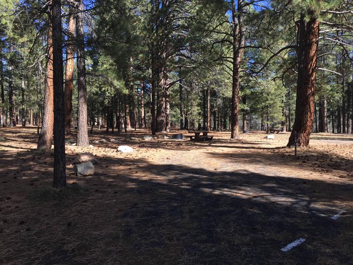 Picnic table, fire pit, and driveway for North Rim Campground, Site 78.