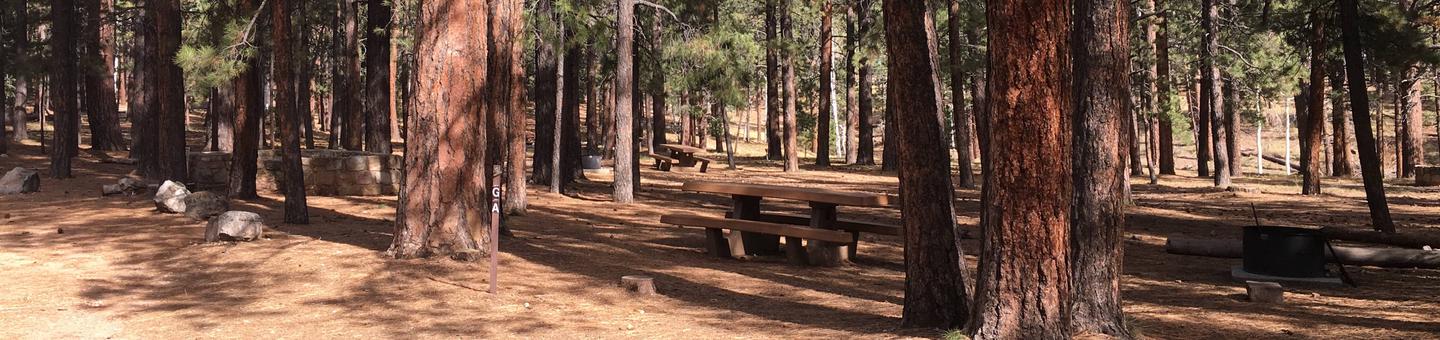 Picnic table, fire pit, and driveway for North Rim Campground, Group Site A.