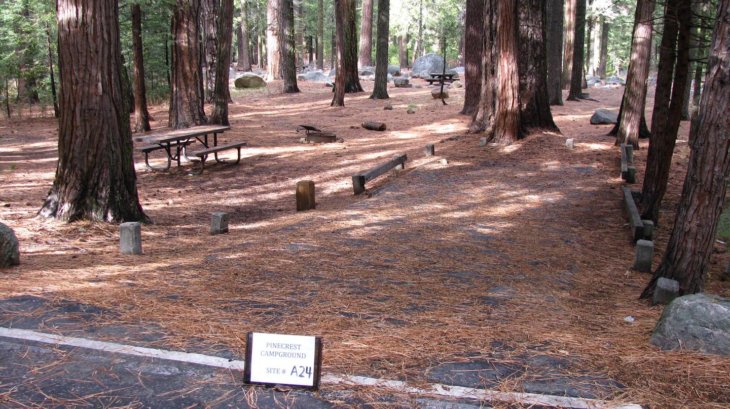 Paved site with picnic table and fire ringPinecrest Campground Site A24