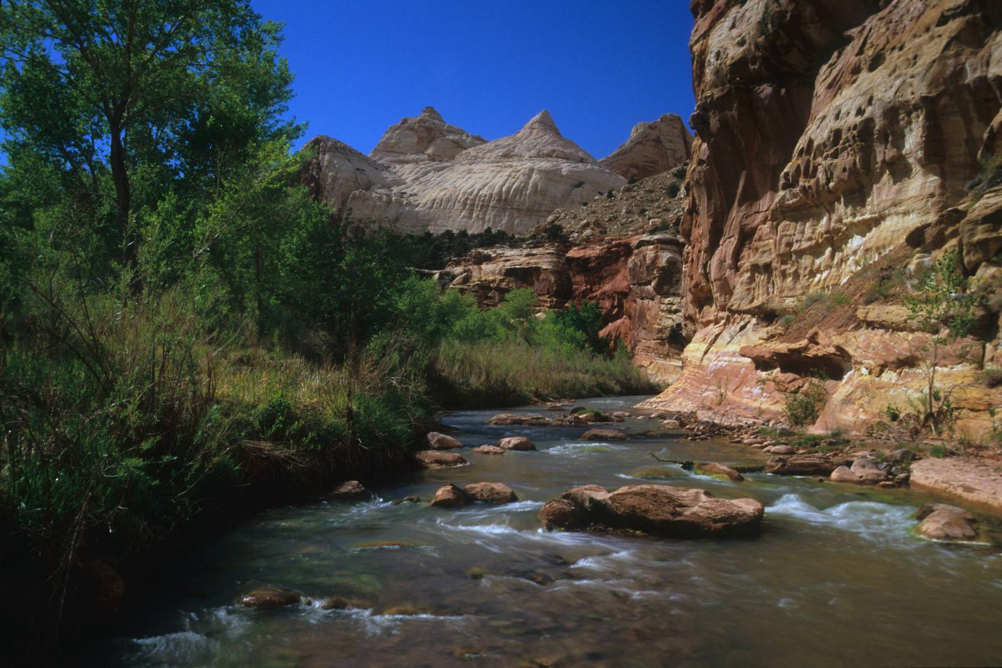 A stream with red-brown rocks in it. On the left side is green foliage. On the right side is a red-brown cliff. In the background is a white rock formation rising into a vibrant blue sky.Navajo Dome overlooking the Freemont River