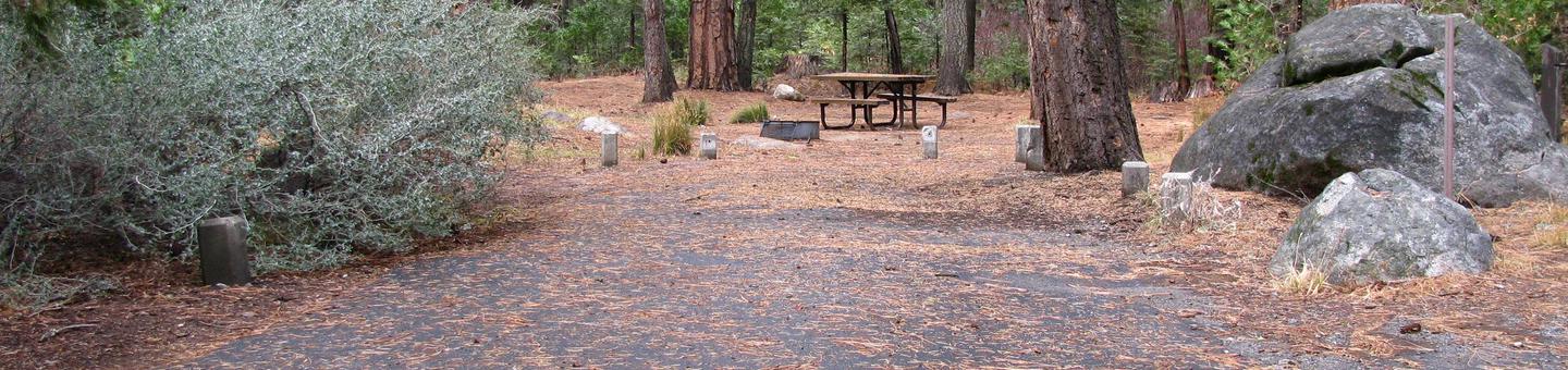 Pinecrest Campground Site A41