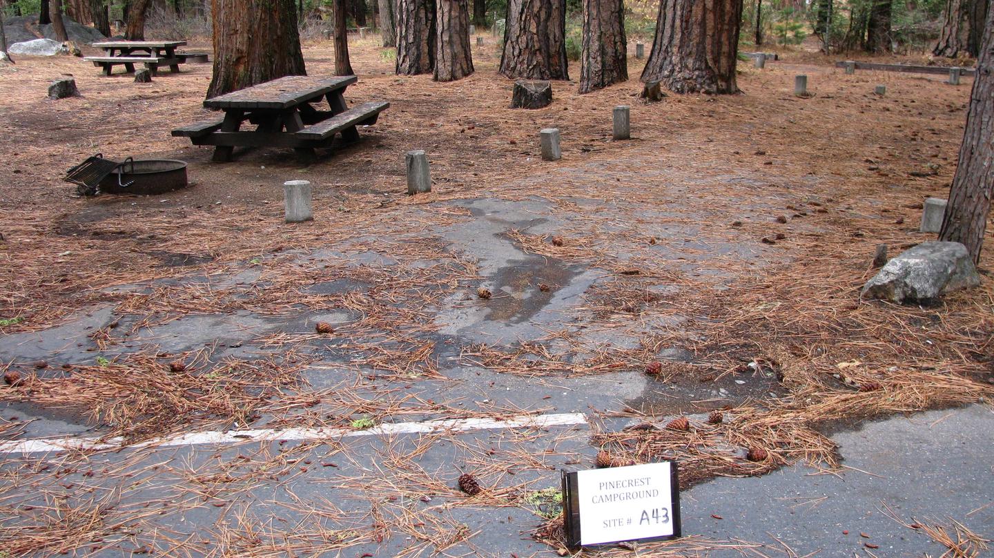 Paved site with picnic table and fire ringPinecrest Campground Site A43