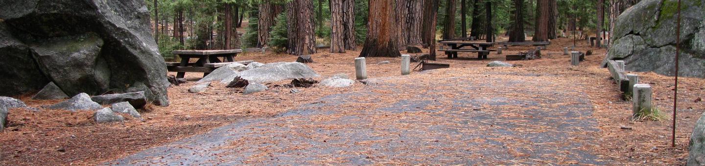 Pinecrest Campground Site A45