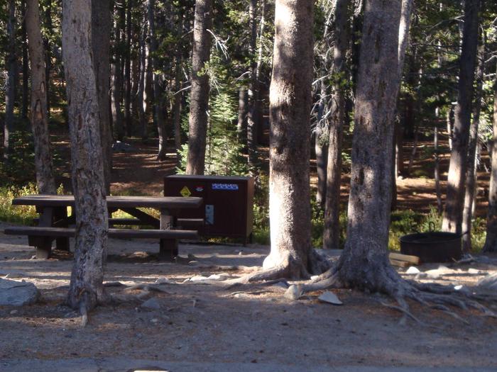 Coldwater Campground SITE 3