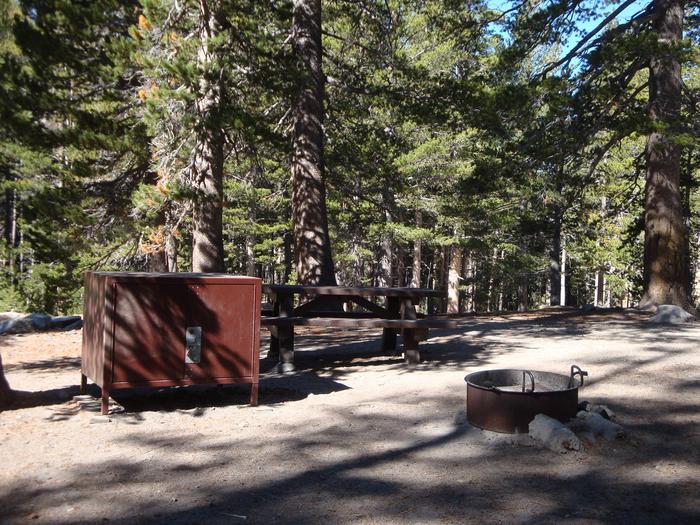 Coldwater Campground SITE 15