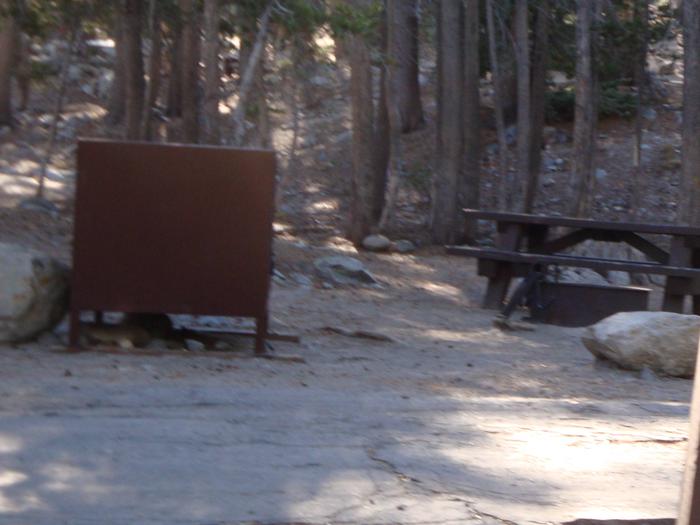 Coldwater Campground SITE 16