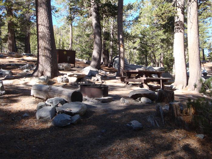 Coldwater Campground SITE 21