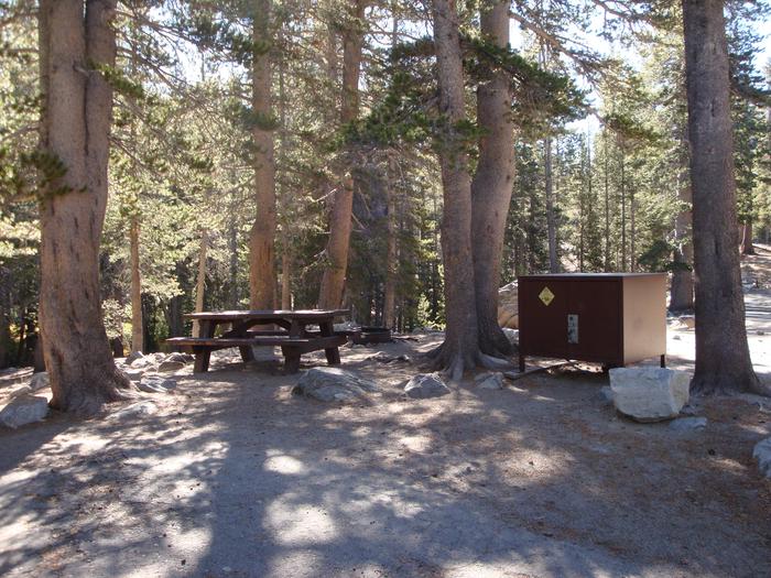 Coldwater Campground SITE 22