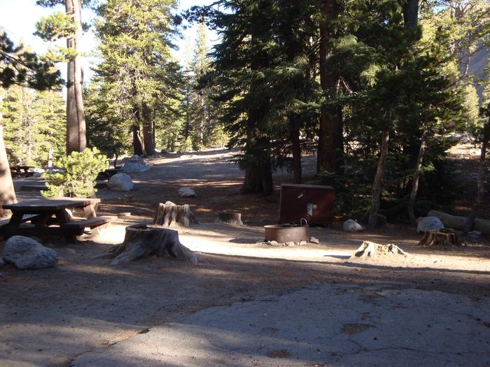 Coldwater Campground SITE 28