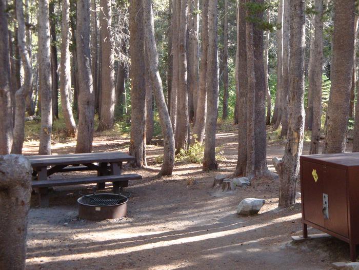Coldwater Campground SITE 36